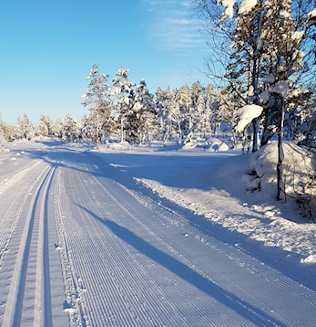 Nydelige forhold for skigåing på Kortjynna! Klubbrenn lørdag og Almlivola Rundt på søndag.